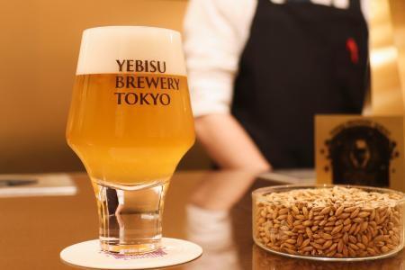 　サッポロビールが限定販売を始めた「ベルベット　トワイライト」＝１３日、東京都渋谷区