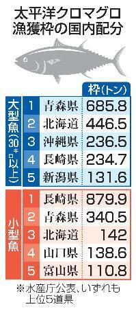 　太平洋クロマグロ漁獲枠の国内配分