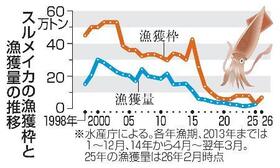 　スルメイカの漁獲枠と漁獲量の推移