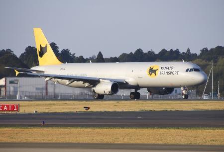 　成田空港から離陸する、ヤマトＨＤと日本航空グループが就航させた貨物専用機＝２０２４年