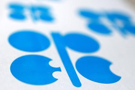 　石油輸出国機構（ＯＰＥＣ）のロゴ＝６月２５日（ロイター＝共同）