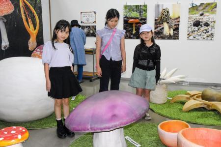 珍しいキノコを展示　鳥取県立フラワーパーク