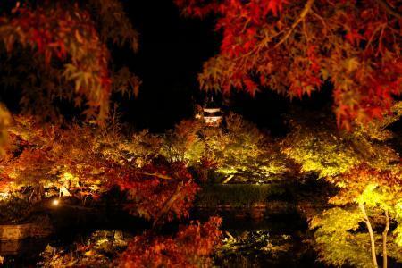紅葉の京都・永観堂ライトアップ　闇夜に赤く、鮮やかに