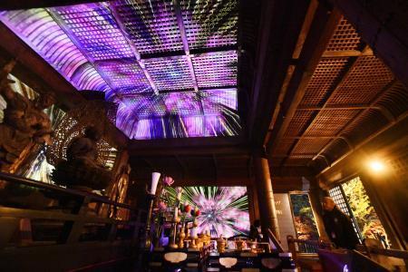 国宝彩る極楽浄土の世界 白水阿弥陀堂で試験点灯