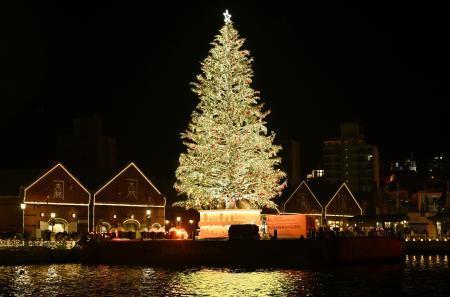 函館、巨大ツリーの点灯始まる 港町がクリスマスの装い