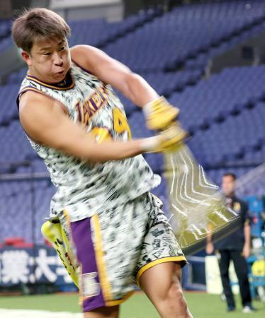 スポーツ写真の優秀賞決定　関西各紙、大阪で１月展示