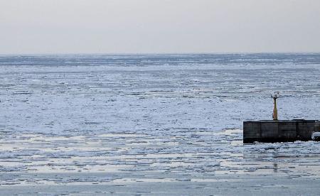 　北海道紋別市で接岸が確認された流氷＝２日午後３時５０分ごろ（紋別市提供）