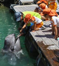 　和歌山県太地町の町立くじらの博物館で披露されたクジラの歯磨き＝１日午前