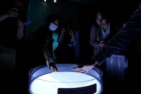 　展示される南極の氷。空気が含まれていて、耳を澄ますとぱちぱちと音が聞こえる＝東京・お台場の日本科学未来館