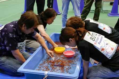 　全国金魚すくい選手権大会で競い合う参加者＝２３日午後、奈良県大和郡山市