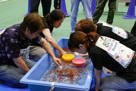 　全国金魚すくい選手権大会で競い合う参加者＝２３日午後、奈良県大和郡山市