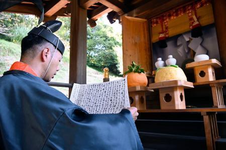 　橘本神社で営まれた「みかん祭」＝１１日午後、和歌山県海南市