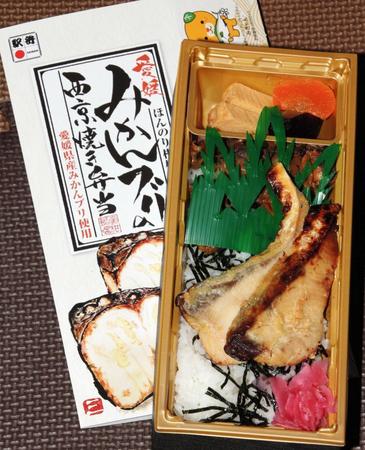 愛媛みかんブリの西京焼き弁当