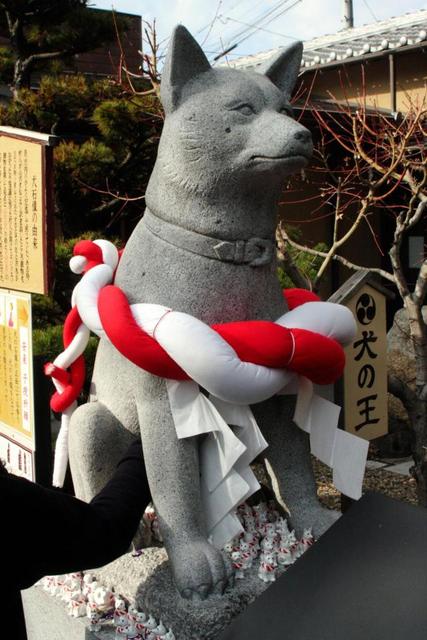 日本で唯一「いぬ−」を主祭神とする伊奴神社 験担ぎにはこの上なし！
