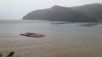 台風24号通過後の漁場（写真提供：近畿大学）