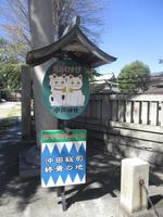 　客を呼び、福を呼ぶといわれる招き猫＝東京・今戸神社