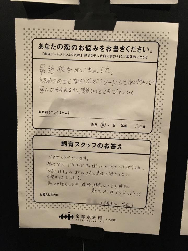 京都水族館が恋愛相談開始の理由 クマノミという魚は彼女がいなくなると ライフ 社会総合 デイリースポーツ Online