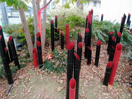 植え込みにはえる赤と黒の竹＝東京・代官山