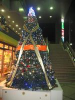 この季節になると街中はさまざまなクリスマスツリーで彩られる