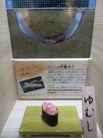 　高級珍味「ルッツ」とも呼ばれるユムシの創作寿司の展示（名古屋港水族館提供）