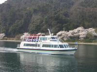 「オーミマリン」のクルーズ船。びわ湖、桜、山のコントラストはまさに絶景