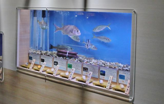寿司とネタの魚たちを同時展示　タブー破った水族館の熱量が半端ない