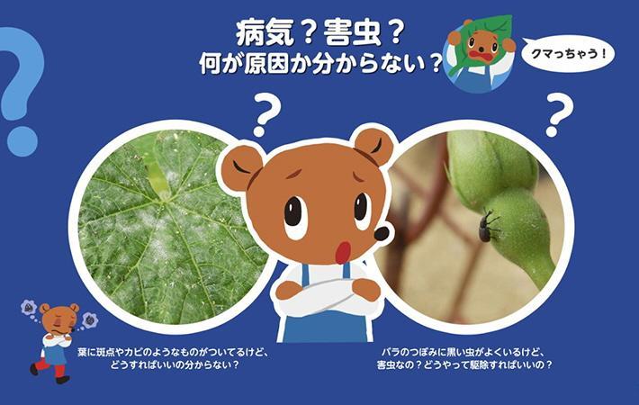 ガーデニングの悩みはline使いのクマに聞け 友だち登録 写真を送って相談 解決 ライフ 社会総合 デイリースポーツ Online