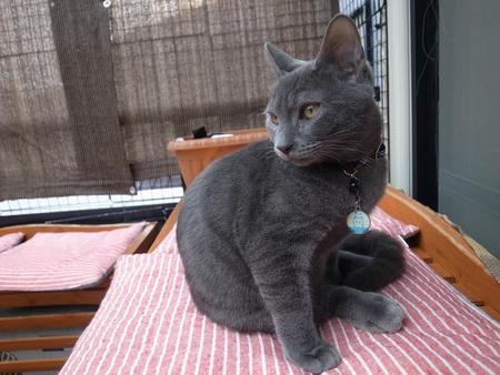 芝さん宅での生活にもすっかり慣れた様子