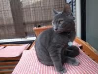 芝さん宅での生活にもすっかり慣れた様子