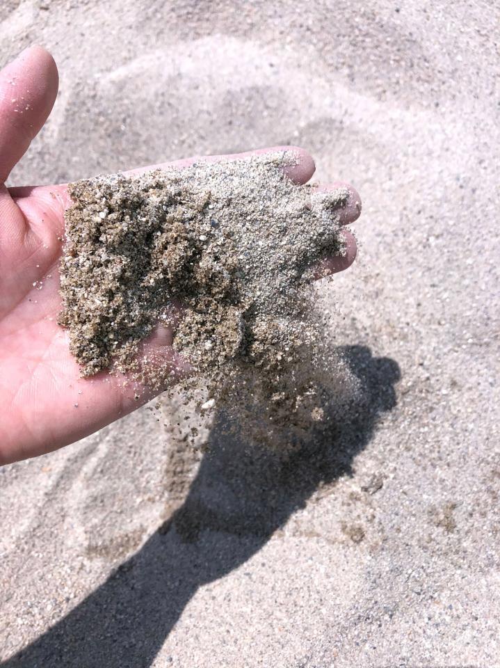 この砂が、あの淀川で？　サラサラでふかふか