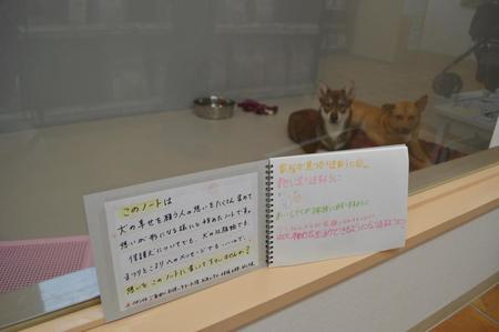 「ペットを売らないペットショップ」Pet Life Potter には犬の幸せを願う人たちの“想い”が綴られたノートがある