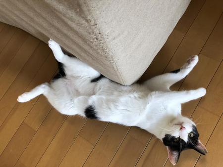 　すっかりリラックス