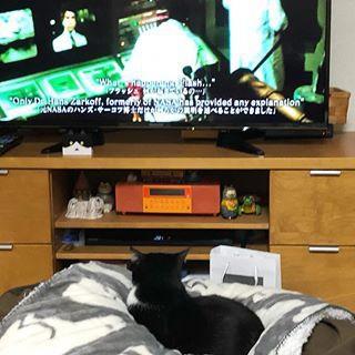 ママと一緒にテレビ鑑賞中