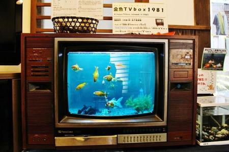 「金魚ＴＶｂｏｘ」は、藍染め体験施設「箱本館紺屋」休憩所にある
