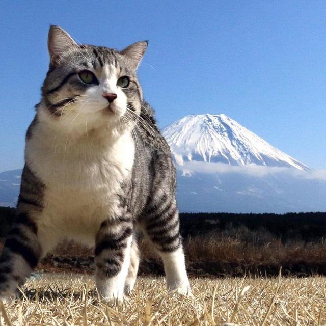 富士山もかすむド迫力