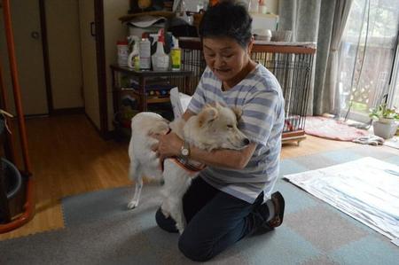 預かりボランティア・岩井さんの腕の中で、うっとりとした表情を見せる保護犬のゆきみちゃん