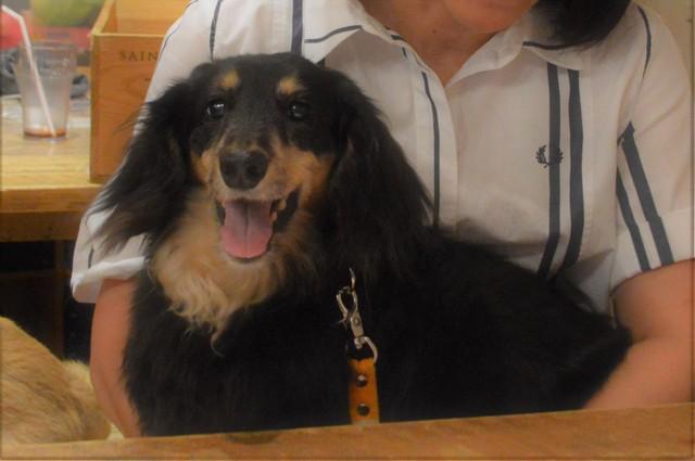 ルカ君は究極の甘えん坊。お母さんとは片時も離れたくありません