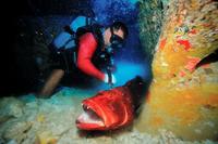 ２５キロの大物クルバニアカジンを海中洞窟で突く海人三郎（Ｃ）Ｙｏｓｈｉｎｏｒｉ　Ｎｉｓｈｉｎｏ