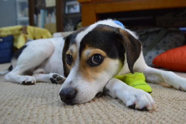 交通事故で脳にダメージを受け、あらゆる感覚機能が低下してしまった咲夢君