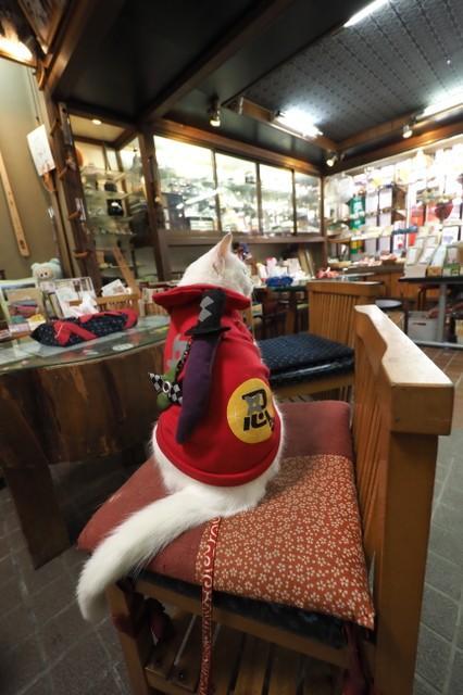 後ろから見たところ。背中にはかわいい刀と手裏剣が！