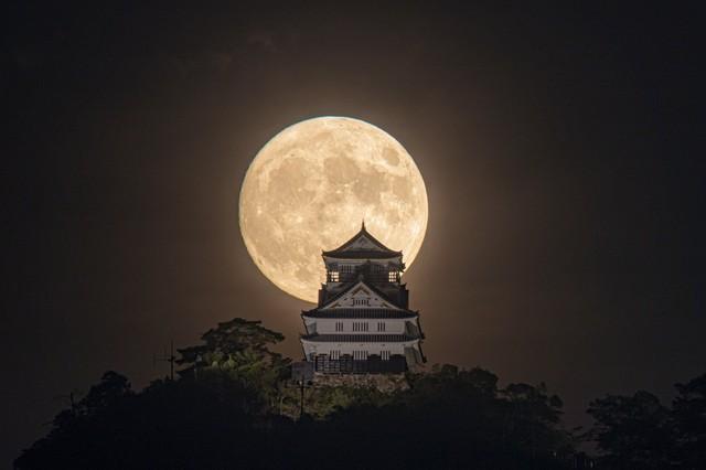 中秋の名月と岐阜城（jigurohiroさん提供）