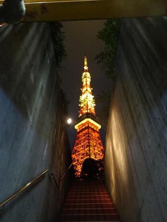 階段の最深部から側壁の隙間に浮かび上がる東京タワーを撮影。このショットが欲しくて観光客が行列に並ぶ＝都内