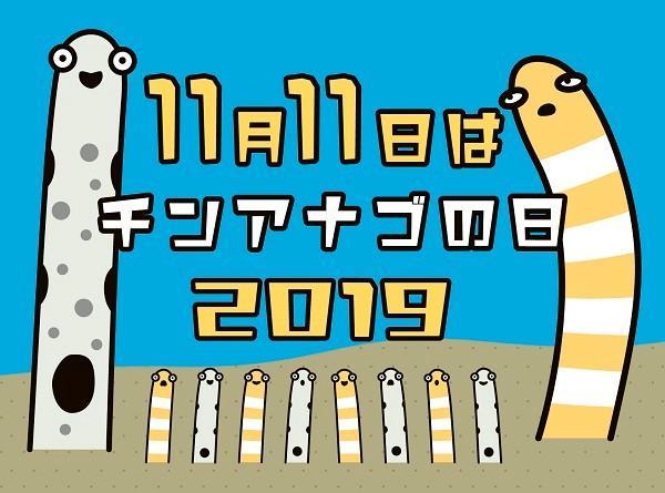 11月11日はご存知「チンアナゴの日」　京都水族館が恒例の人気イベントを今年も開催