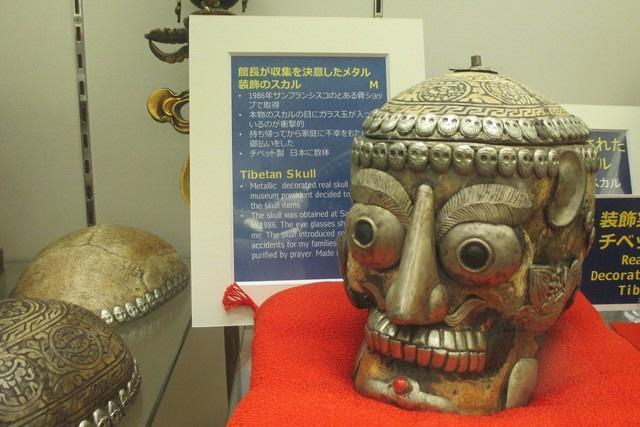 カラーで見る シャレコーベ の謎紀行 頭蓋骨 にまつわる世界の不思議を