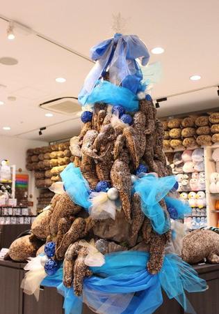 「京都のクリスマスはこれを見ないと始まらない」と評判のオオサンショウウオのクリスマスツリー＝京都水族館