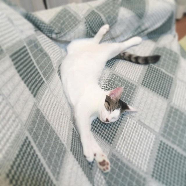 一番警戒心の強かった銀くんもリラックス