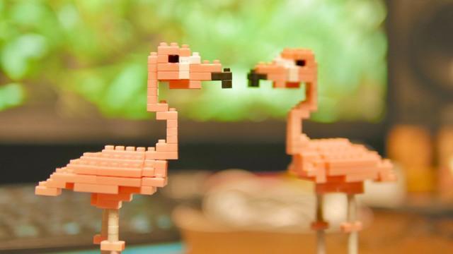 動画に使われたフラミンゴのブロック。制作に１時間半、そして動画中でも何度も…（提供）