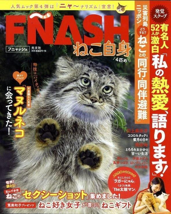 人気シリーズの第４弾「ＦＮＡＳＨ　ねこ自身４匹め」の表紙