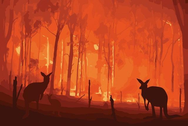 オーストラリア森林火災の支援に「ひと肌脱ぐ」モデルが続々　世界で広がるチャリティ手法
