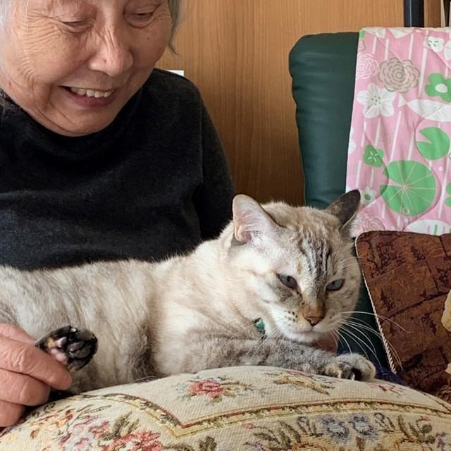 「愛するペットと一生、一緒に」　ペット共生型有料老人ホームという選択肢